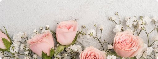 Close-up of four pink roses surrounded by small white flowers on a light-colored textured background.