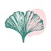 Transparent Site Logo Mark