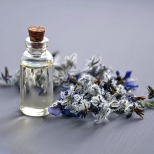 Stories in Every Drop: Unique Scents and Hidden Beauty